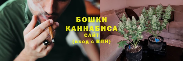 прущие крисы Арсеньев