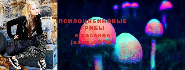 прущие крисы Арсеньев